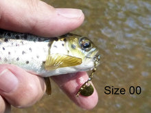 Colorado Spinner