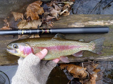 Suntech Field Master 53 with rainbow trout
